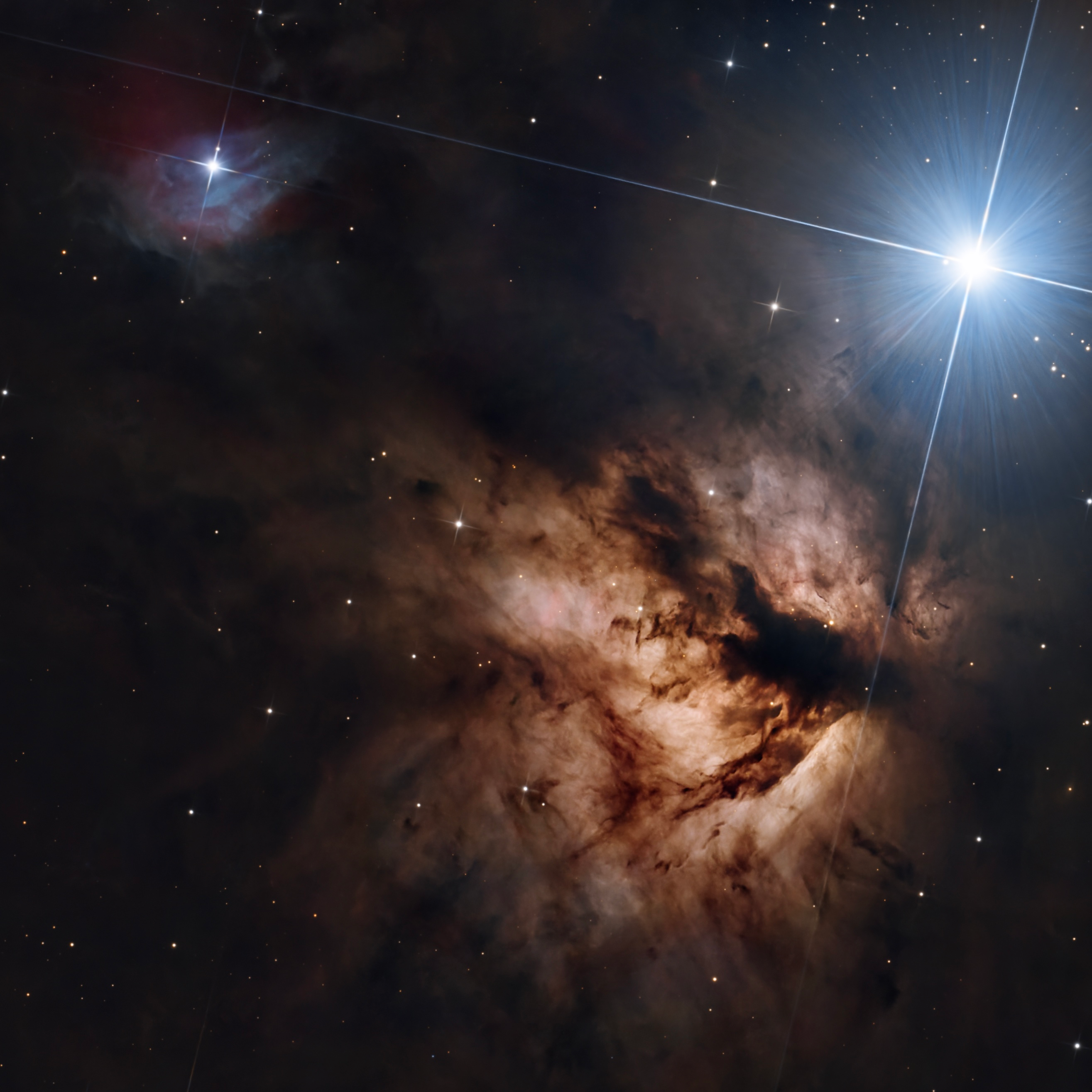Dark branching dust divides the glowing Flame Nebula beside a bright blue star.