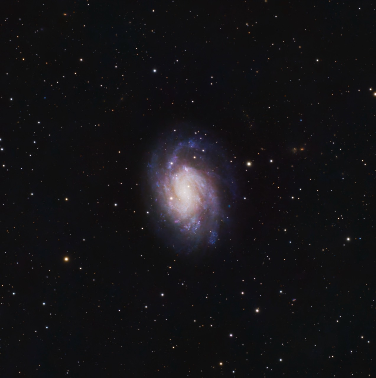 The softly glowing core and blue spiral arms of M33, the Triangulum Galaxy, against a dark field of stars.