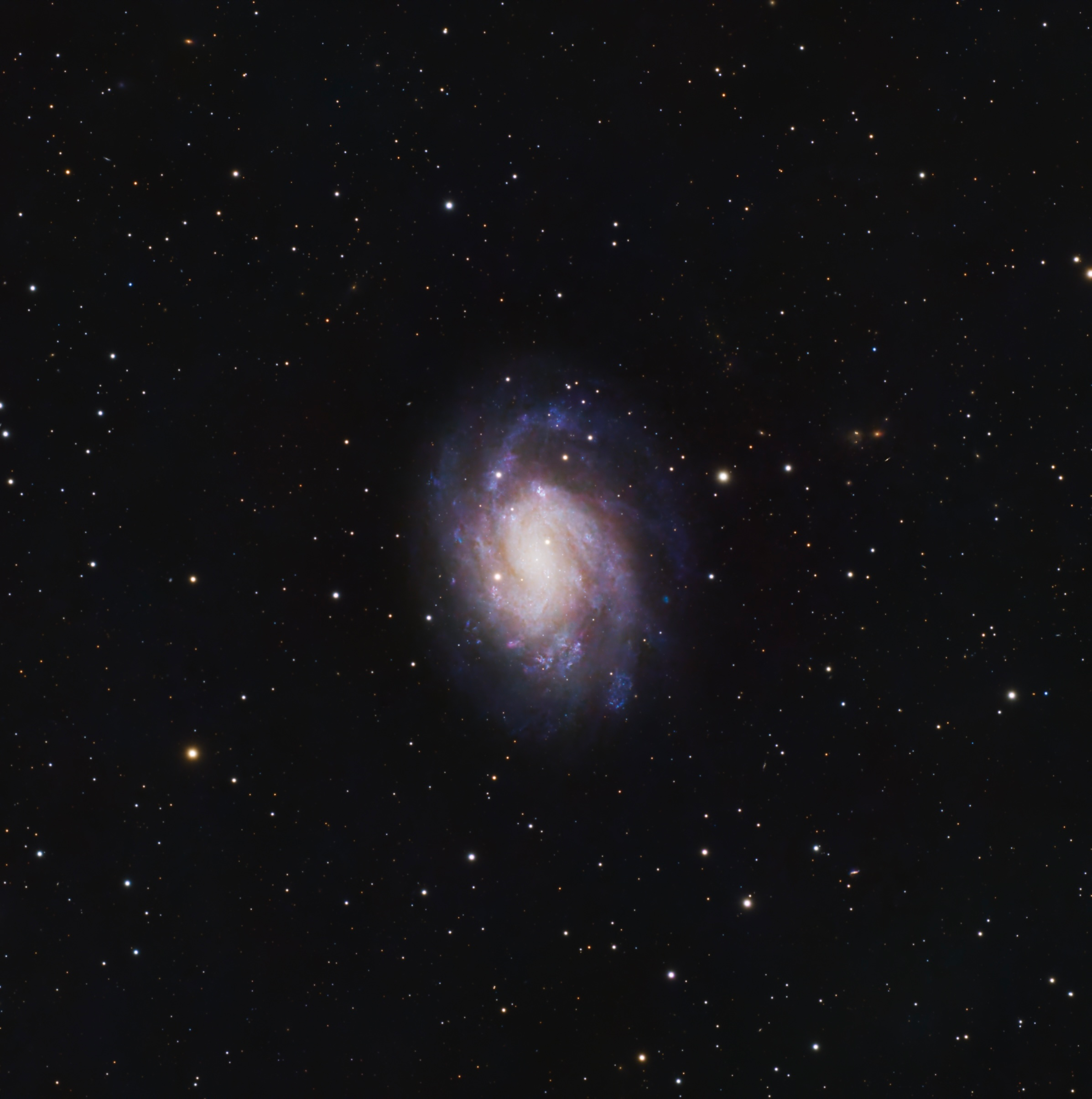 The face-on spiral galaxy NGC 300 surrounded by a sparse field of stars.