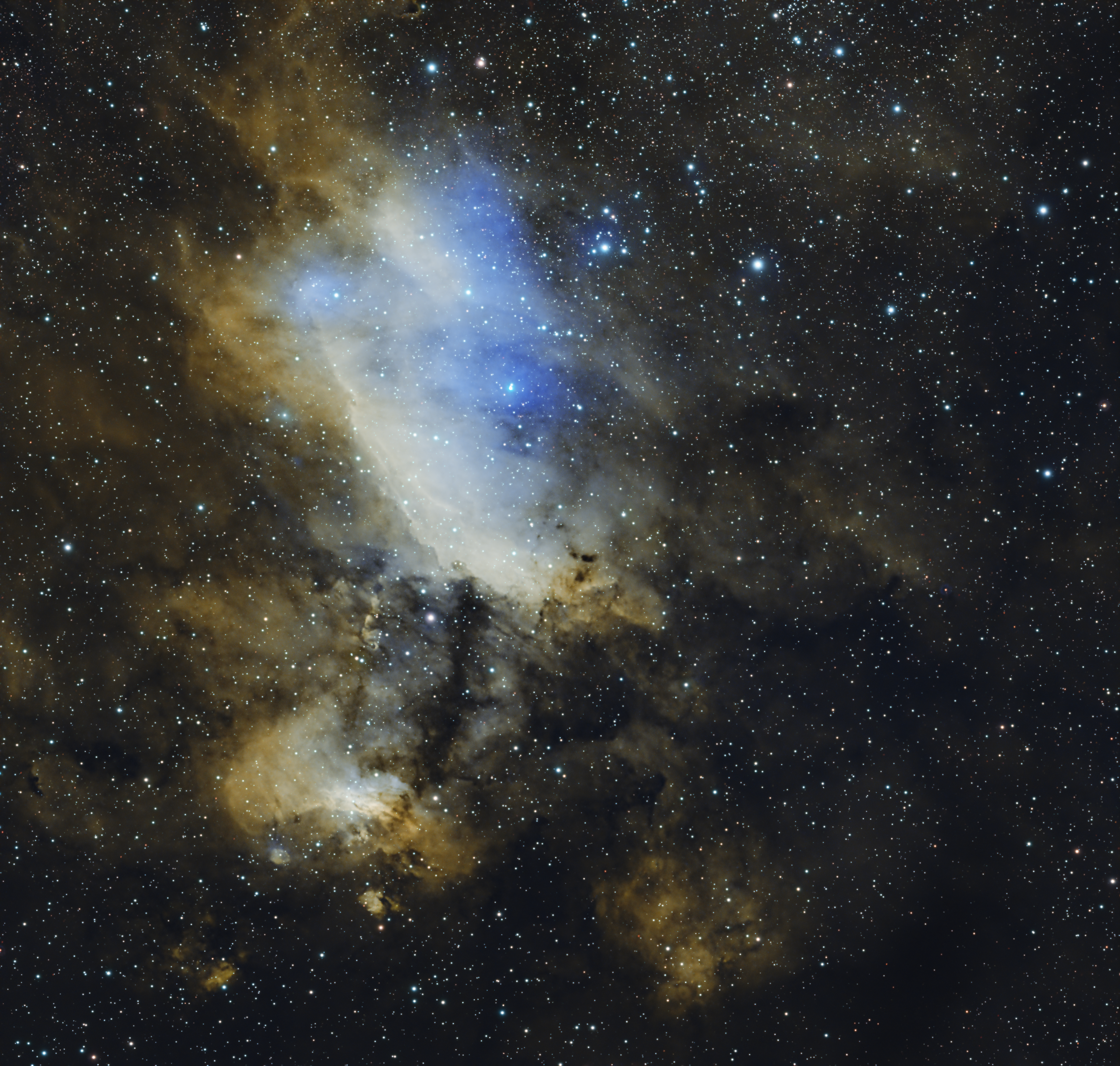 Golden emission clouds and blue glowing gas in the Prawn Nebula, surrounded by a dense field of stars.