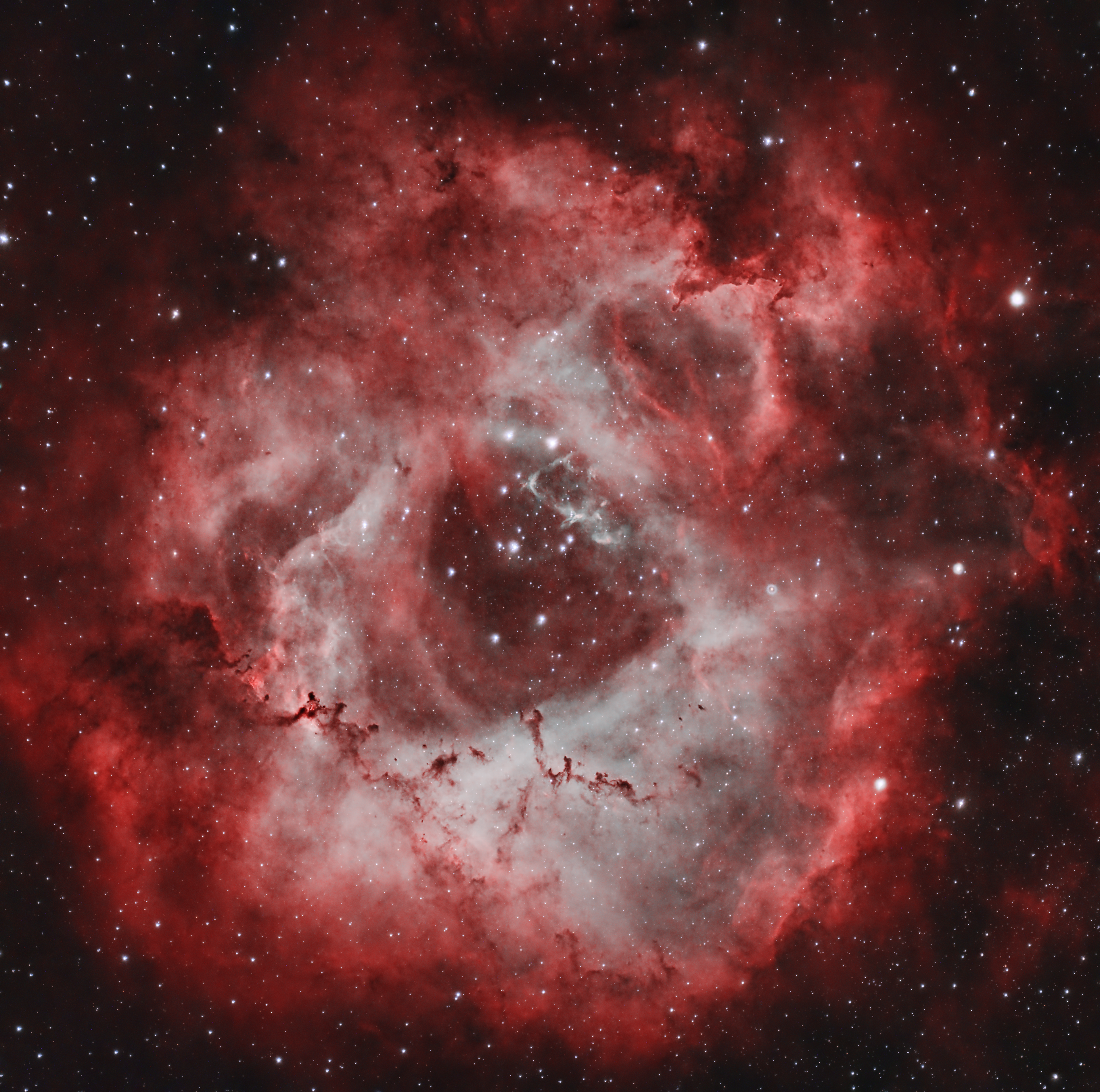 Red and pale glowing clouds around the dark central cavity of the Rosette Nebula, with dark dust and scattered stars.