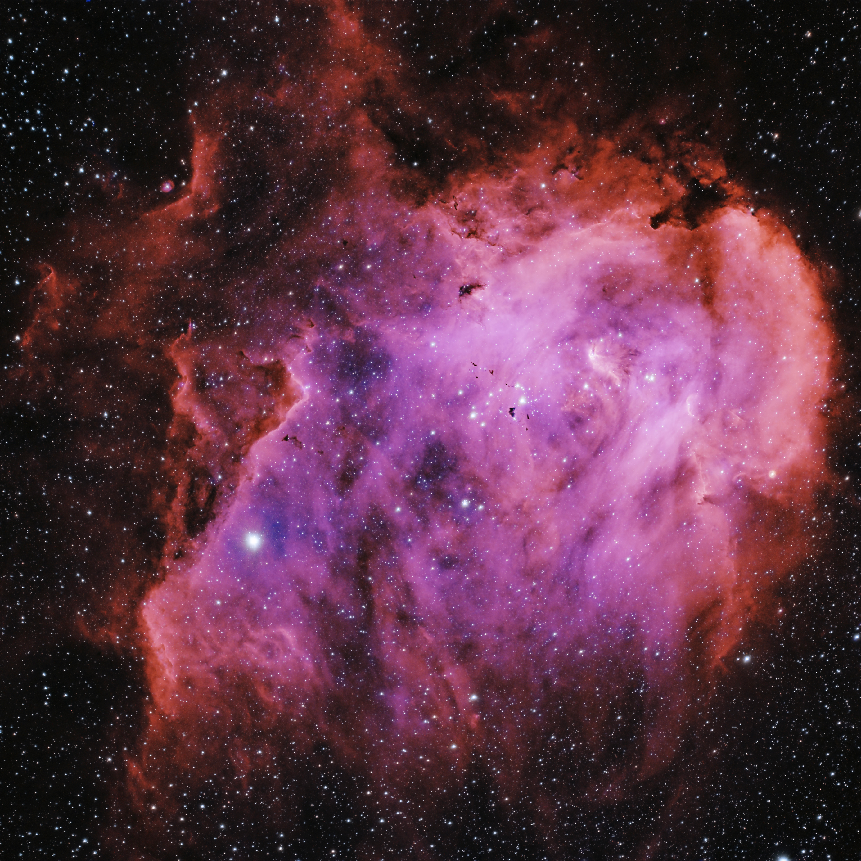 The Running Chicken Nebula glowing violet and rose among dark knots and bright stars.