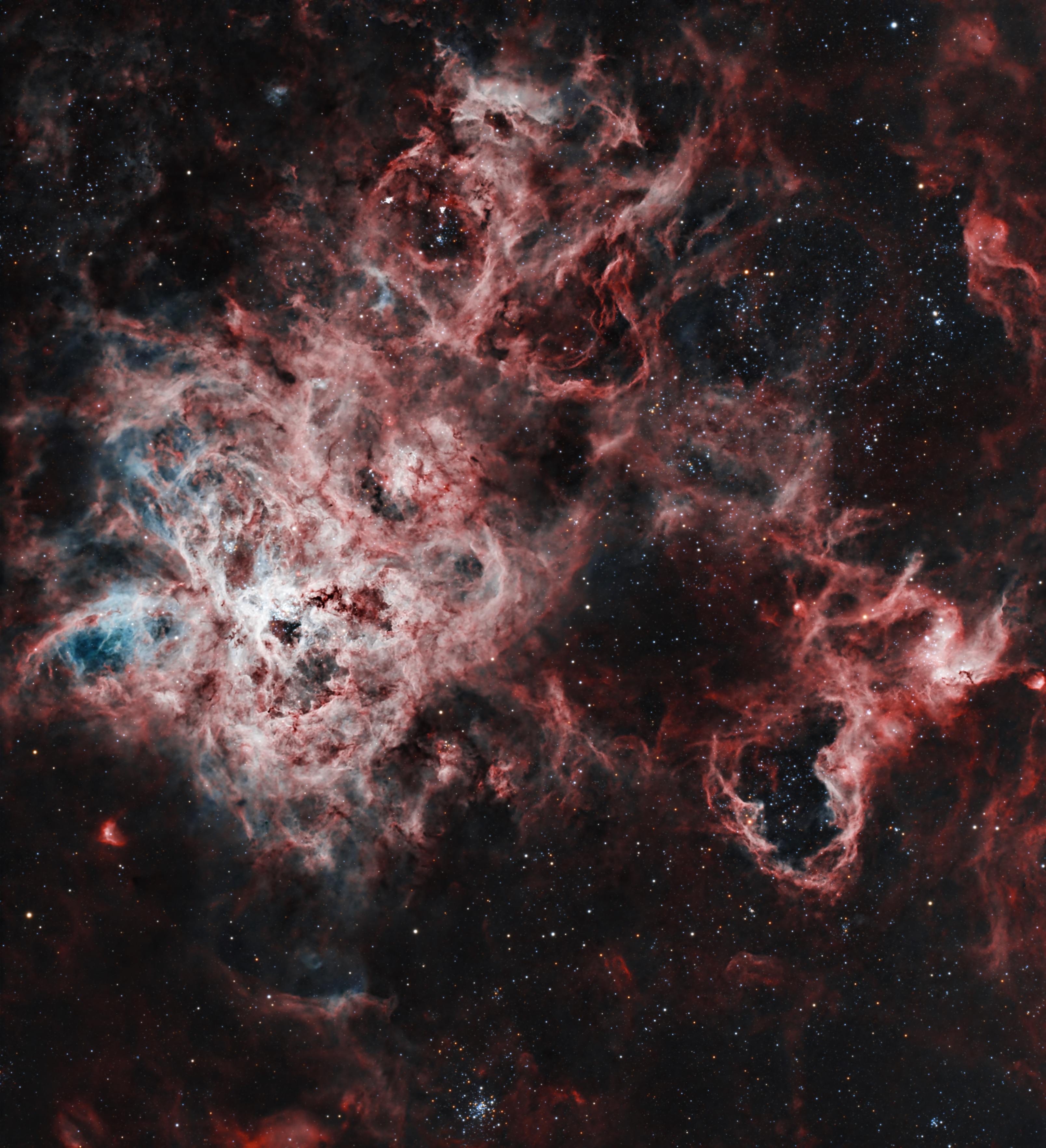 The Tarantula Nebula forming a bright web of pale gas inside deep red emission clouds.